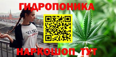 СК Шелехов