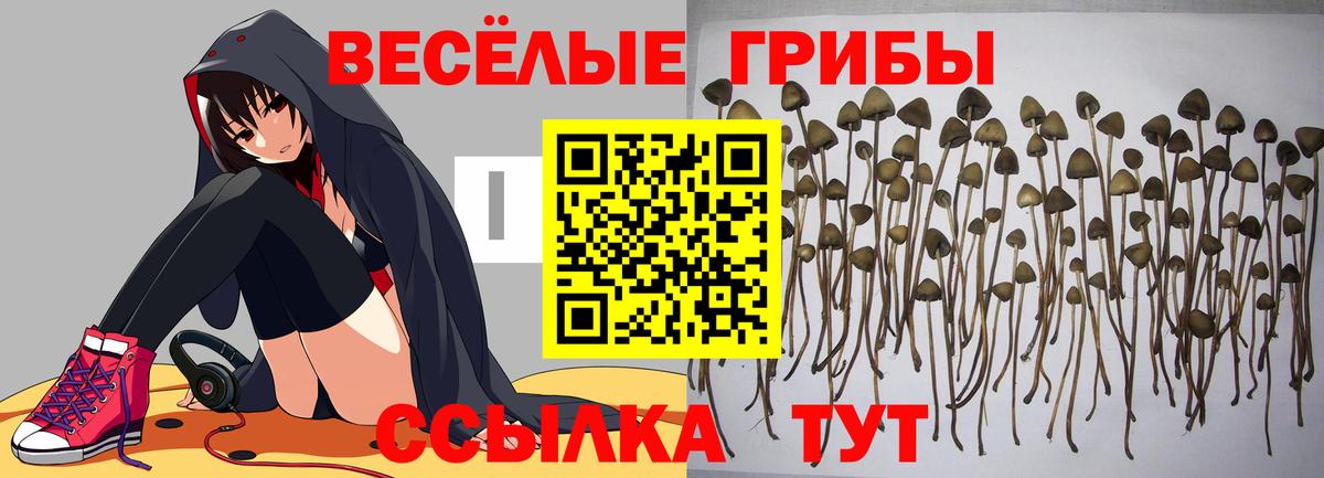 Псилоцибиновые грибы MAGIC MUSHROOMS Грязи