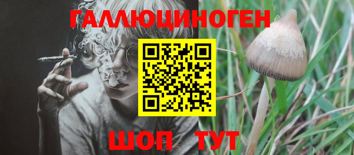 Псилоцибиновые грибы MAGIC MUSHROOMS  Галлюциногенные грибы MAGIC MUSHROOMS  Грязи  Вход с VPN 
